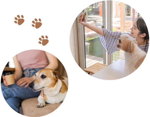 ペットカフェイメージ